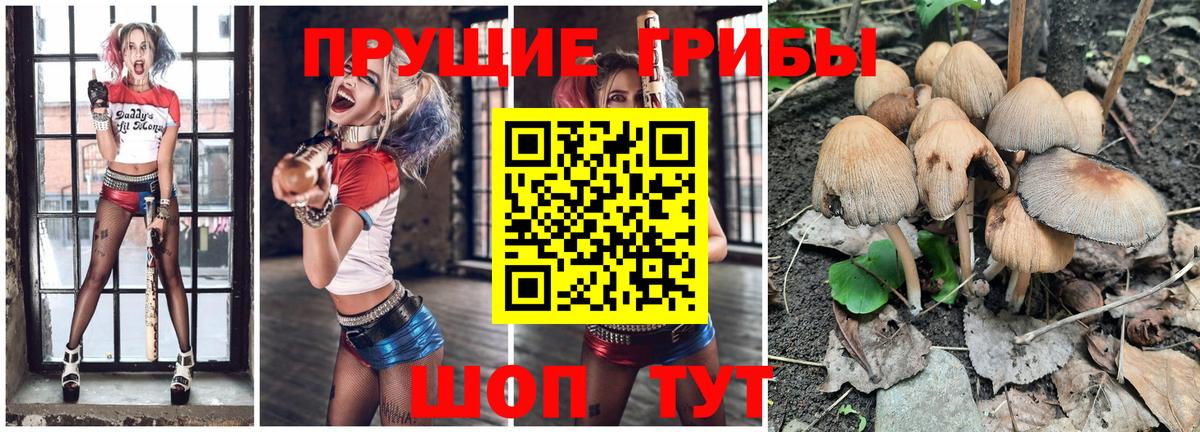 Псилоцибиновые грибы ЛСД  Вход с VPN  сколько стоит  Луга 